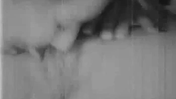 Kutie Kut Ups Site Seer