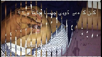 Indian Wife Lactating Big Boobs - DesiPapa