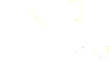 Fox in miniskirt and heels