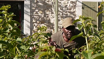 Sally, 36, goes through an unknown box for her! - Jacquie et Michel TV