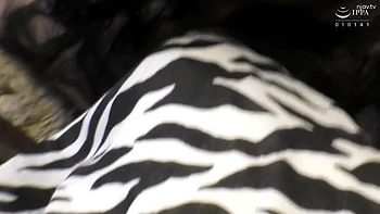 dsjhsdhjhghjjdfsjjdskksdkgggklgkfdfk284