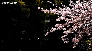 Cute Petite Japanese Student 18+. Great Body