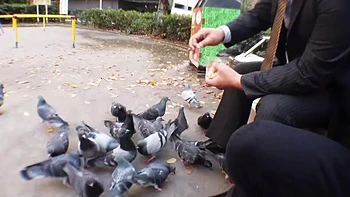 0011221_ベロチュウ 素人 JKなどが含まれている