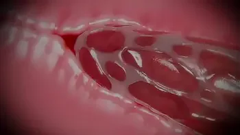 The Experiment Chapter Four - Trailer