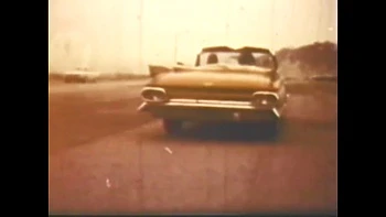 Vulgar Capricious Pig