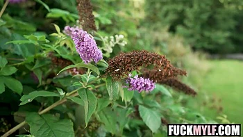 Astonishing Porn Movie Deep Throat Watch