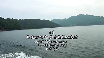 x6x4C2E1DE8D2BAD7A5B6