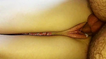 The Art Of Creampie (movie)