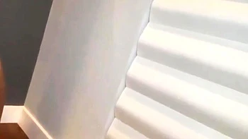 Brunette Slut Gives Blowjob To Big Cock Outdoors