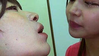 x1x3B4C4B0E44DE5DE488