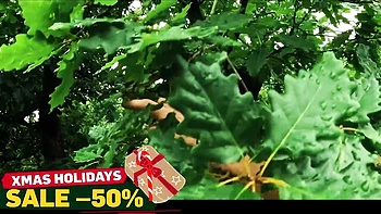 Watch beautiful Emejota's movie