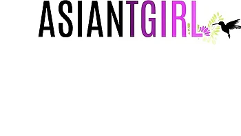 Dear's asian ladyboy scene