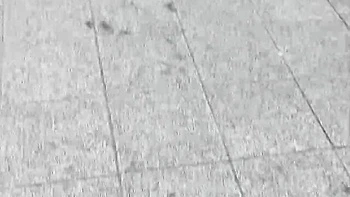 Mr Lucky Life featuring Vera Jarw's big tits video