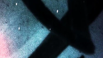 Jake's transgender xxx