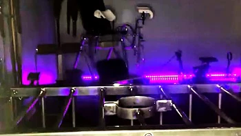 Amateur fetish couples tape