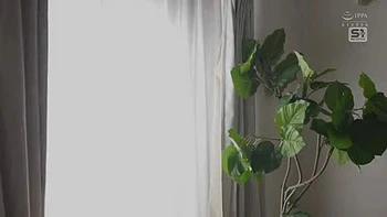 x1x71525F54866FFB3185