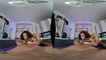 WllwRdr: Blowjob, Doggy  Cowgirl VR Porn