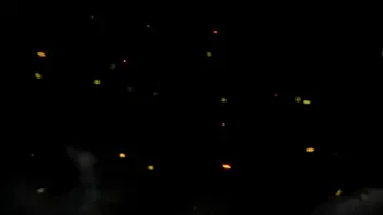 Group Ass Worship Femdom Outdoor With Dark Mistresses Kira, Dina, Sofi