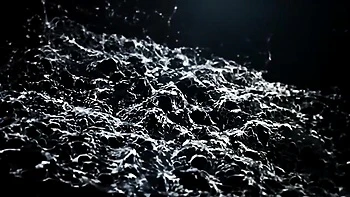 Kink dirt with alluring Gabrielle Gucci and Nicole Love from VIPissy