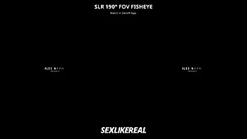 Euro Trip: Shared Luggage