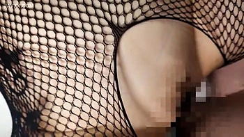 x1x8E27FC4D339EF3538E