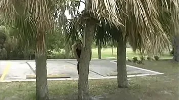 REAL PUBLIC SEX! Fucking myself in public guy drives up and watches jerking off then a blonde stranger stops and gives a hand job while we film it! Best Wildest day ever!