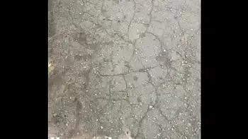 Ki-Sim sucking off a stranger on the street (not fake)