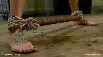 Busty anal lesbian bound and whipped